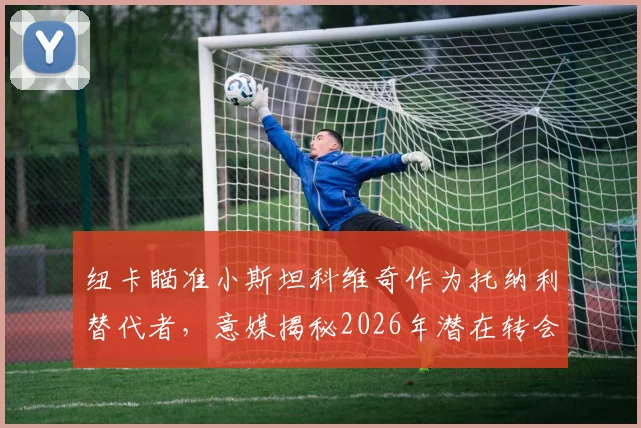 纽卡瞄准小斯坦科维奇作为托纳利替代者,意媒揭秘2026年潜在转会关键与球员前景分析