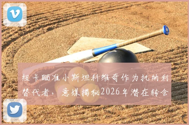 纽卡瞄准小斯坦科维奇作为托纳利替代者，意媒揭秘2026年潜在转会关键与球员前景分析